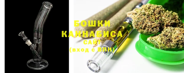 spice Ельня