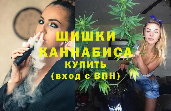 spice Ельня