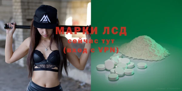 spice Ельня