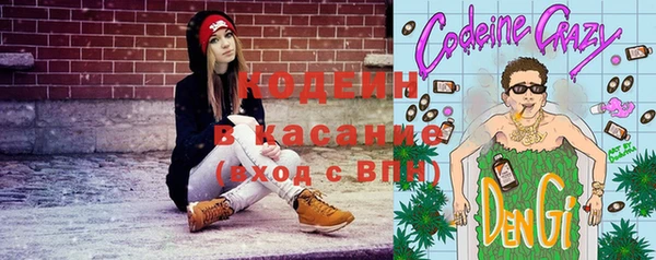 прущие крисы Елабуга