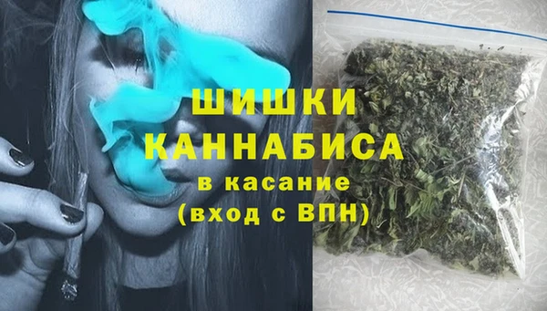 spice Ельня