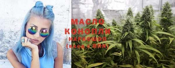 spice Ельня