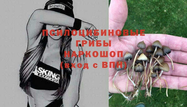 spice Ельня