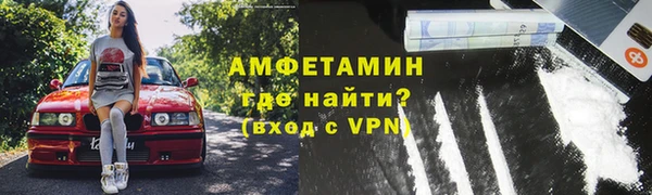 шишки Заволжье