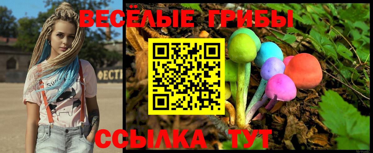 Псилоцибиновые грибы ЛСД  Галлюциногенные грибы ЛСД  где купить наркоту  Канск  Вход с VPN 