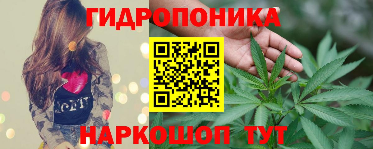 Бошки марихуана Ganja  Бошки Шишки White Widow  Вход с VPN  МАРИХУАНА THC 21%  Канск 